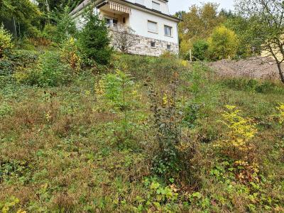 Beau terrain à Esch-sur-Sûre